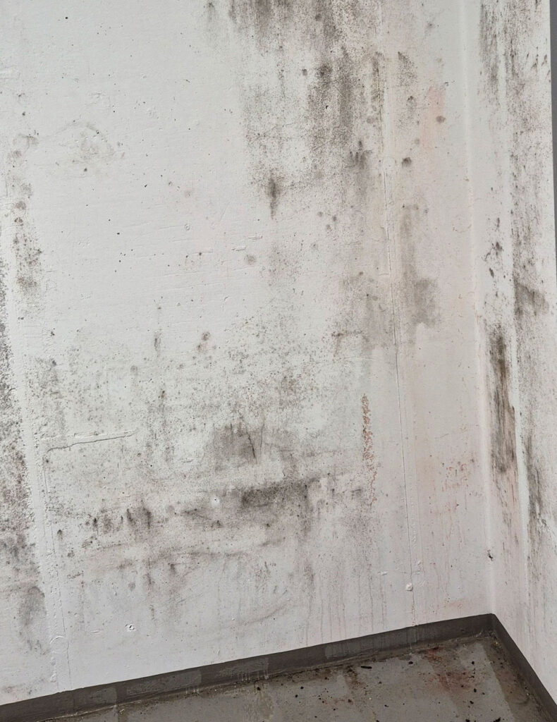 Hötger Service GmbH Bad Wünnenberg Paderborn Schimmelsanierung Schimmel Wasserschaden Sanierung