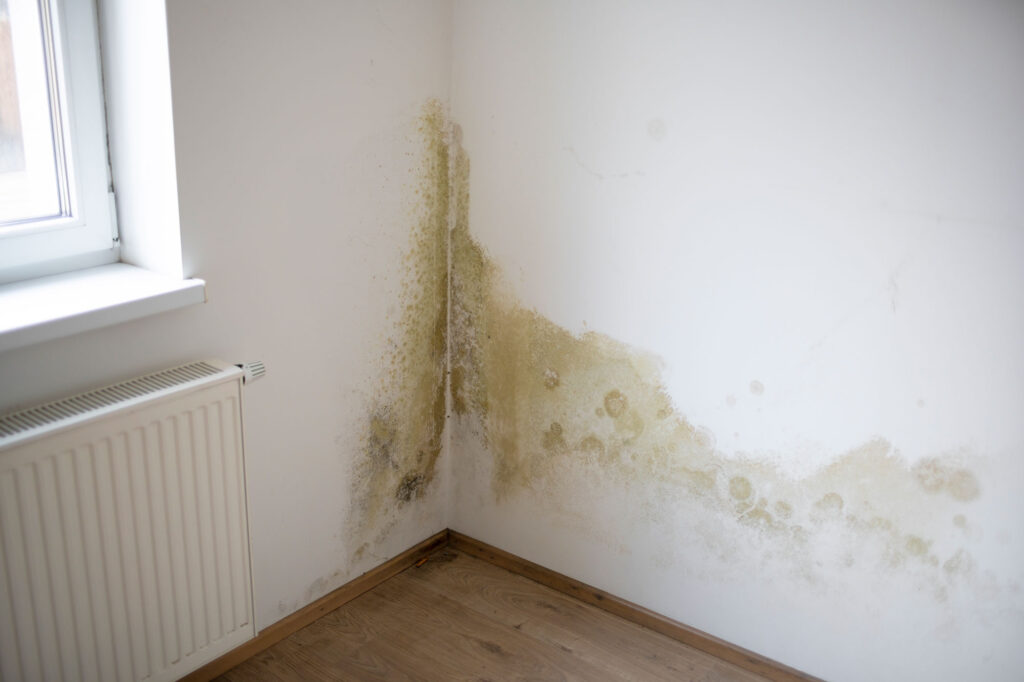 Hötger Service GmbH Bad Wünnenberg Wasserschadenbeseitigung Wasserschaden Ortung Trocknung Sanierung Leckageortung Schimmelsanierung